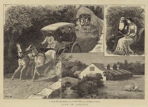 Leven in Jamaica door John Charles Dollman